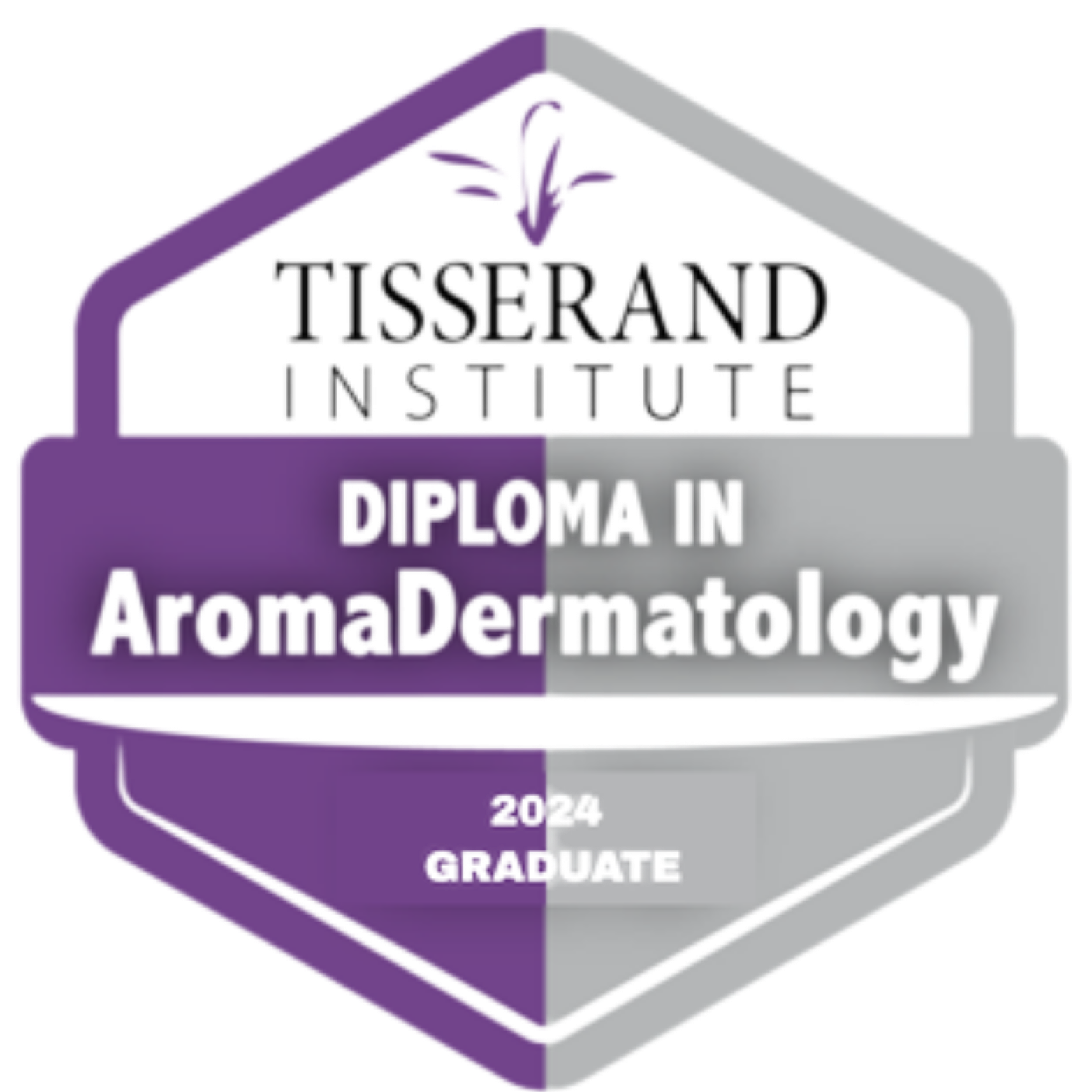 Diploma Tisserand Institute
